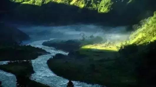 逃离天鹅森林