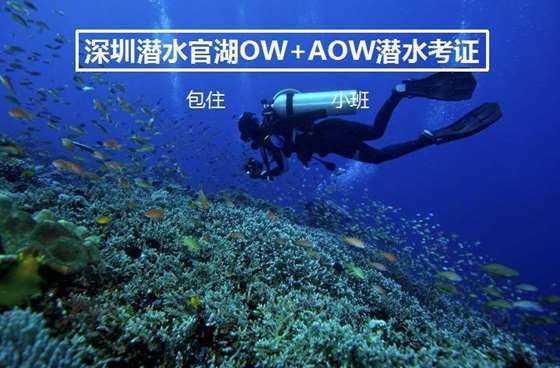 无双大蛇3